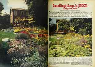 Better Homes & Gardens April 1977 Magazine Article: Something's always in BLOOM in this glorious garden