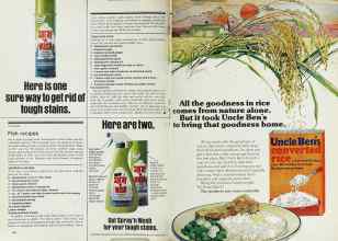 Better Homes & Gardens April 1977 Magazine Article: Page 166