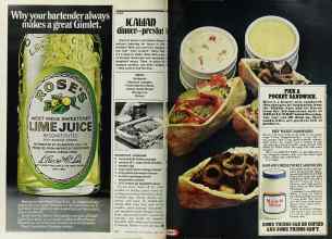 Better Homes & Gardens April 1977 Magazine Article: Page 178