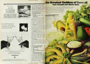 Better Homes & Gardens April 1977 Magazine Article: Page 182