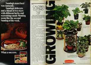 Better Homes & Gardens April 1977 Magazine Article: Page 184