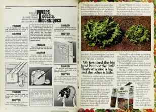 Better Homes & Gardens April 1977 Magazine Article: Page 194