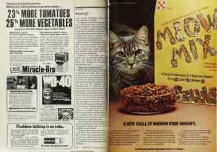 Better Homes & Gardens April 1977 Magazine Article: Page 222