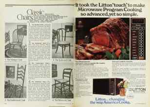 Better Homes & Gardens April 1977 Magazine Article: Page 228