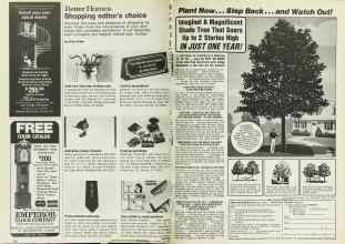 Better Homes & Gardens April 1977 Magazine Article: Page 238