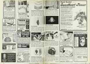 Better Homes & Gardens April 1977 Magazine Article: Page 246