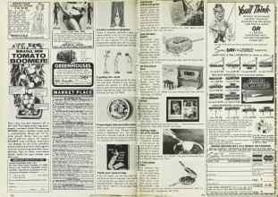 Better Homes & Gardens April 1977 Magazine Article: Page 250