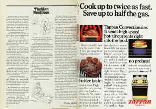 Better Homes & Gardens April 1977 Magazine Article: Page 252