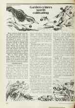 Better Homes & Gardens May 1977 Magazine Article: Garden critters worth cultivating