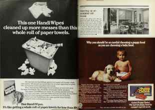 Better Homes & Gardens May 1977 Magazine Article: Page 44