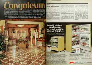 Better Homes & Gardens May 1977 Magazine Article: Page 52