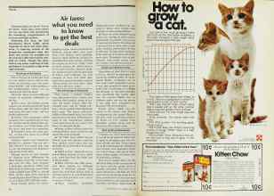 Better Homes & Gardens May 1977 Magazine Article: Page 58