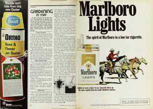 Better Homes & Gardens May 1977 Magazine Article: Page 60