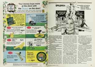 Better Homes & Gardens May 1977 Magazine Article: Page 64