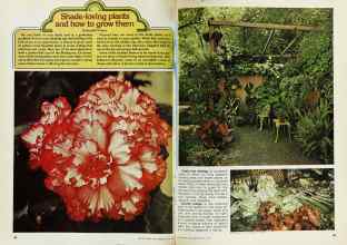 Better Homes & Gardens May 1977 Magazine Article: Shade-loving plants and how to grow them