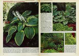 Better Homes & Gardens May 1977 Magazine Article: Page 90