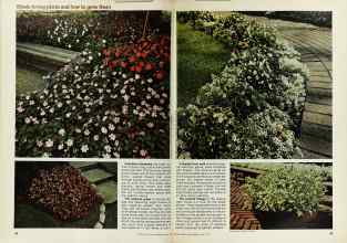 Better Homes & Gardens May 1977 Magazine Article: Page 92