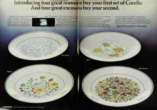 Better Homes & Gardens May 1977 Magazine Article: Page 174