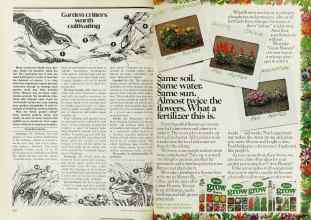 Better Homes & Gardens May 1977 Magazine Article: Page 202