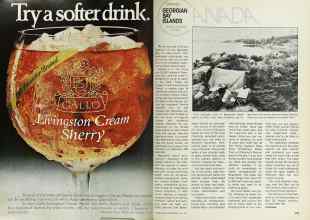Better Homes & Gardens May 1977 Magazine Article: Page 222