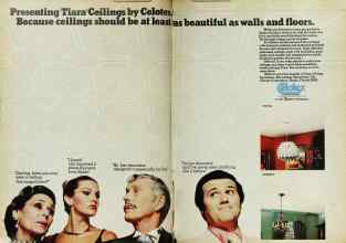 Better Homes & Gardens May 1977 Magazine Article: Page 234