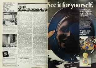 Better Homes & Gardens May 1977 Magazine Article: Page 248