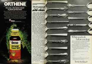 Better Homes & Gardens May 1977 Magazine Article: Page 252