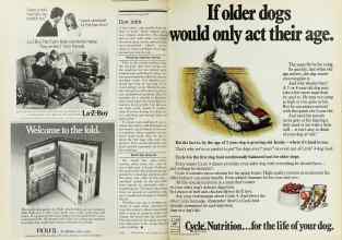 Better Homes & Gardens May 1977 Magazine Article: Page 256