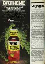Better Homes & Gardens June 1977 Magazine Article: GARDENING IN JUNE