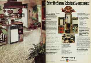 Better Homes & Gardens June 1977 Magazine Article: Page 2