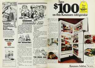 Better Homes & Gardens June 1977 Magazine Article: Page 74