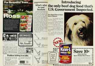 Better Homes & Gardens June 1977 Magazine Article: Page 80