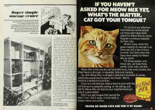 Better Homes & Gardens June 1977 Magazine Article: Page 98