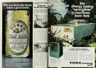 Better Homes & Gardens June 1977 Magazine Article: Page 100
