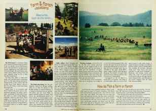 Better Homes & Gardens June 1977 Magazine Article: Page 116