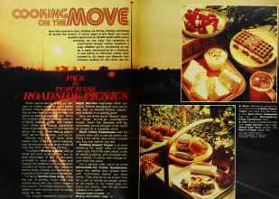 Better Homes & Gardens June 1977 Magazine Article: Page 118