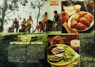 Better Homes & Gardens June 1977 Magazine Article: Page 120