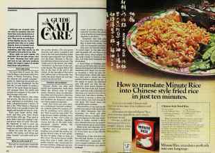 Better Homes & Gardens June 1977 Magazine Article: Page 162