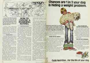 Better Homes & Gardens June 1977 Magazine Article: Page 176