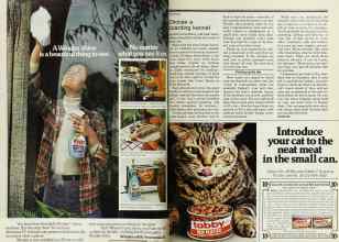 Better Homes & Gardens June 1977 Magazine Article: Page 178