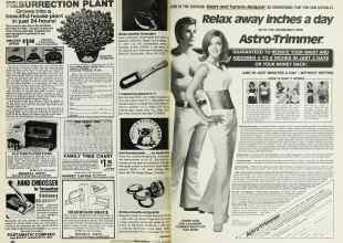 Better Homes & Gardens June 1977 Magazine Article: Page 204