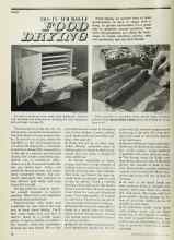 Better Homes & Gardens July 1977 Magazine Article: DO-IT-YOURSELF FOOD DRYING