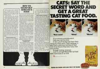 Better Homes & Gardens July 1977 Magazine Article: Page 100