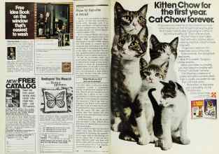 Better Homes & Gardens July 1977 Magazine Article: Page 168