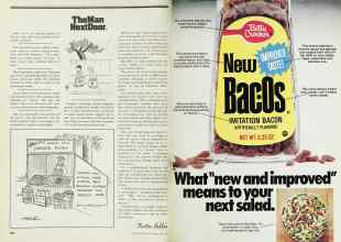 Better Homes & Gardens July 1977 Magazine Article: Page 202