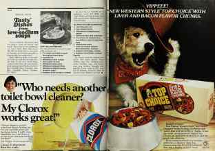 Better Homes & Gardens August 1977 Magazine Article: Page 36