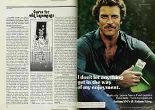 Better Homes & Gardens August 1977 Magazine Article: Page 42