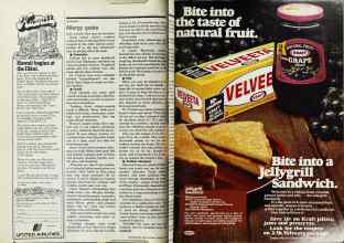 Better Homes & Gardens August 1977 Magazine Article: Page 48