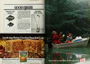 Better Homes & Gardens August 1977 Magazine Article: Page 64