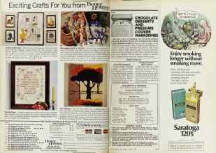 Better Homes & Gardens August 1977 Magazine Article: Page 68